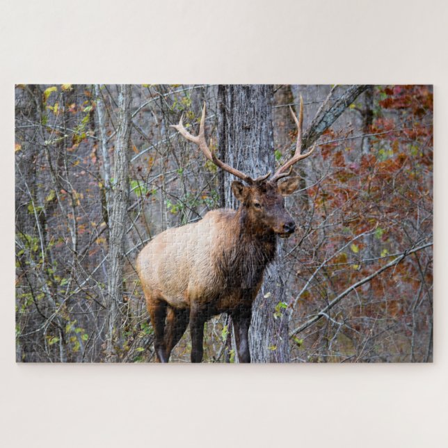 Puzzle Cazador de grandes juegos - Toro Elk - 20x30 pulga (Horizontal)