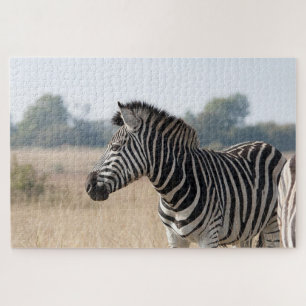 Puzzle Cebra en el safari