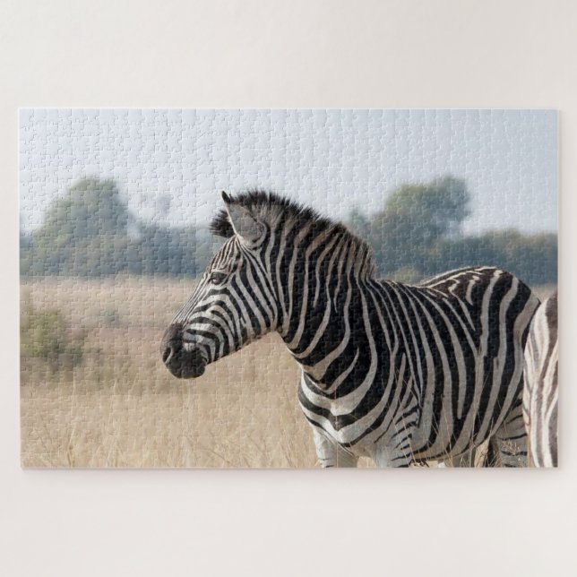 Puzzle Cebra en el safari (Horizontal)