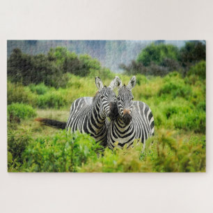 Puzzle Cebras silvestres