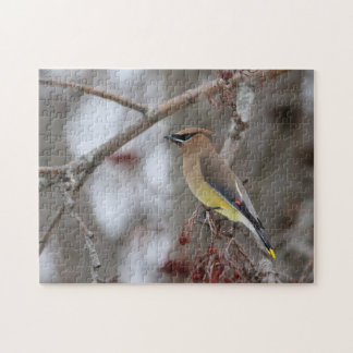 Puzzle Cedar Waxwing