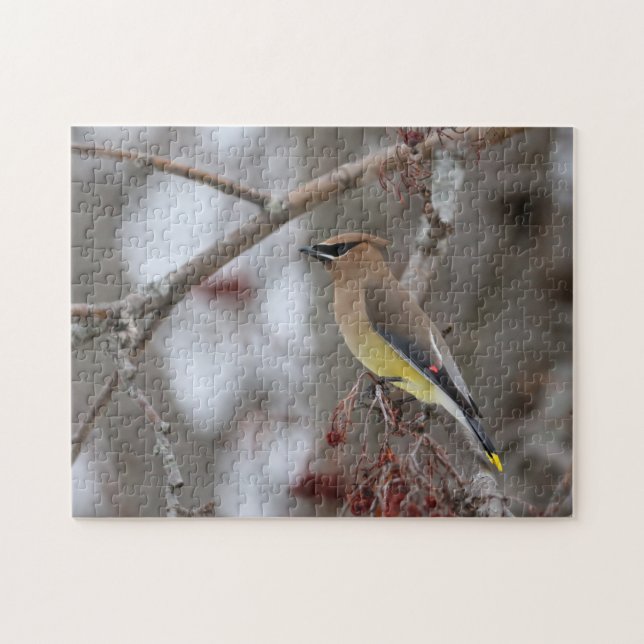 Puzzle Cedar Waxwing (Horizontal)