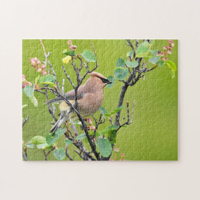 Puzzle Cedar Waxwing (Horizontal)