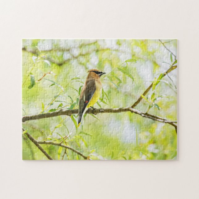 Puzzle Cedar Waxwing (Horizontal)
