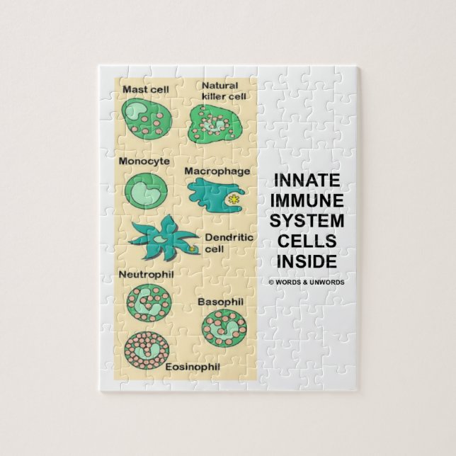 Puzzle Células naturales del sistema inmune dentro de la (Vertical)