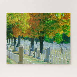 Puzzle Cementerio de Washington Arlington