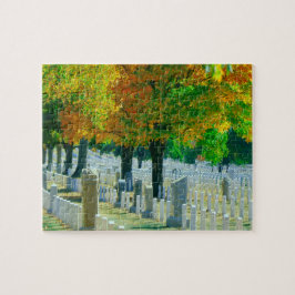Puzzle Cementerio de Washington Arlington