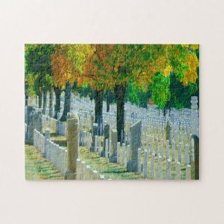 Puzzle Cementerio de Washington Arlington