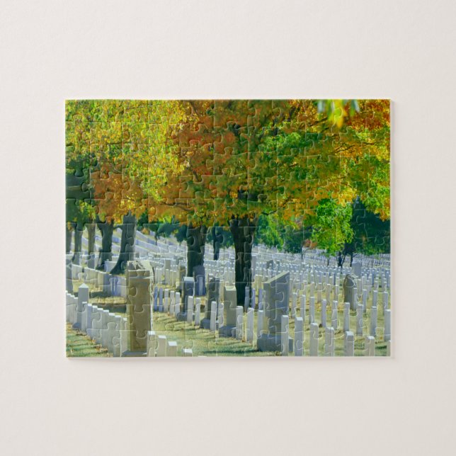 Puzzle Cementerio Washington Arlington (Horizontal)