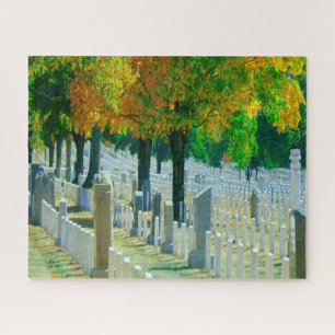 Puzzle Cementerio Washington Arlington