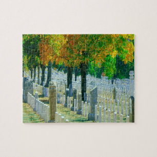 Puzzle Cementerio Washington Arlington
