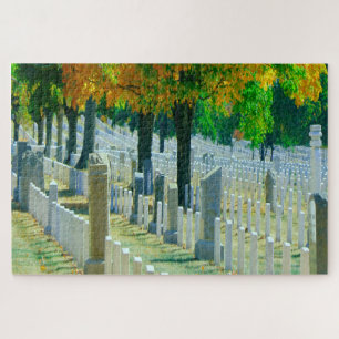Puzzle Cementerio Washington Arlington
