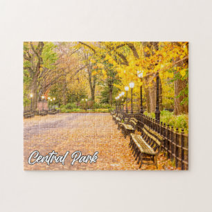 Puzzle Central Park, Manhattan, Nueva York, EE. UU.