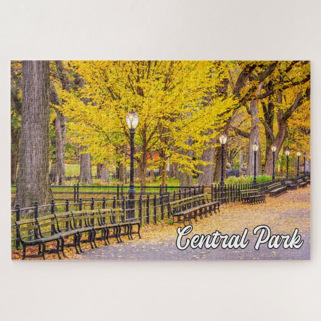 Puzzle Central Park, Manhattan, Nueva York, Estados Unido (Horizontal)