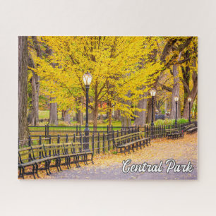 Puzzle Central Park, Manhattan, Nueva York, Estados Unido