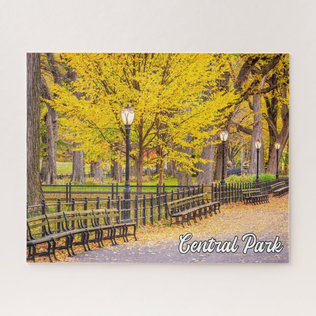 Puzzle Central Park, Manhattan, Nueva York, Estados Unido (Horizontal)