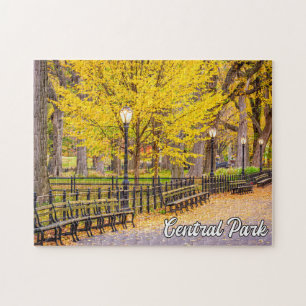 Puzzle Central Park, Manhattan, Nueva York, Estados Unido