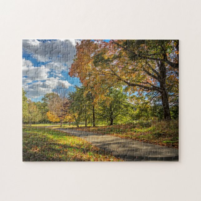 Puzzle Central Park Nueva York (Horizontal)