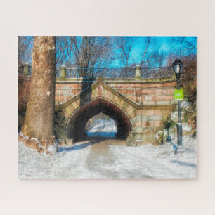 Puzzle Central Park Nueva York.