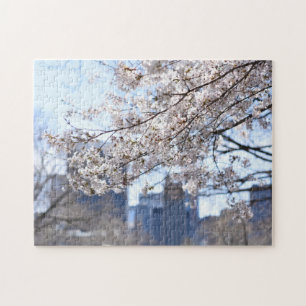 Puzzle Central Park Spring Chery florece en Nueva York