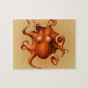 Puzzle Cephalapod Vintage