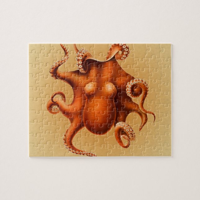 Puzzle Cephalapod Vintage (Horizontal)