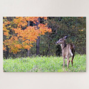 Puzzle Cercano al venado blanco