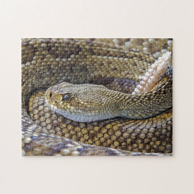Puzzle Cerco de serpiente venenosa (Horizontal)
