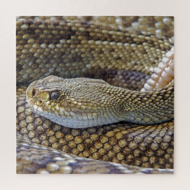 Puzzle Cerco de serpiente venenosa (Vertical)