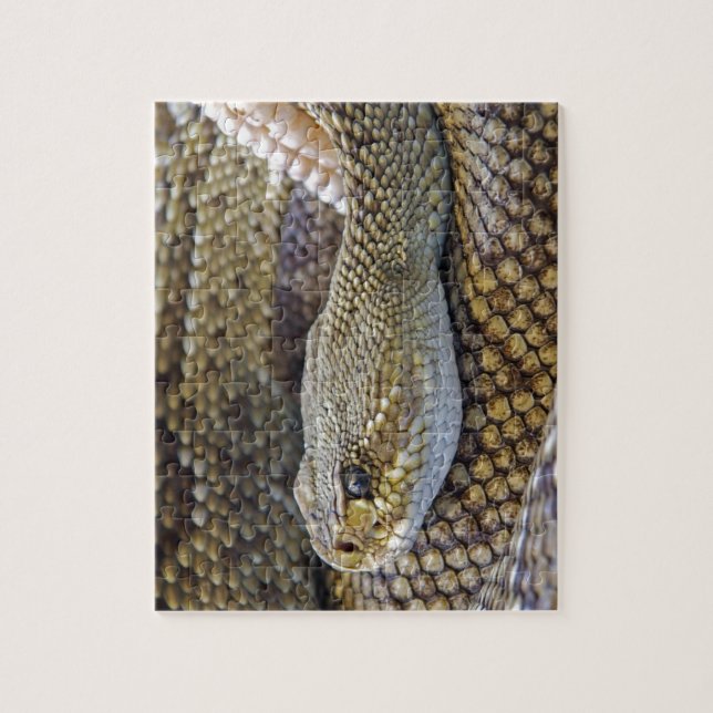 Puzzle Cerco de serpiente venenosa (Vertical)