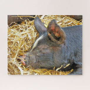 PUZZLE CERDO CUTIDO