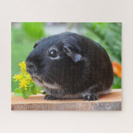 Puzzle Cerdo de Guinea Negra