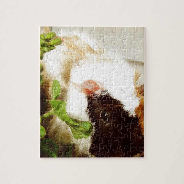 Puzzle Cerdo guineano en las flores (Vertical)