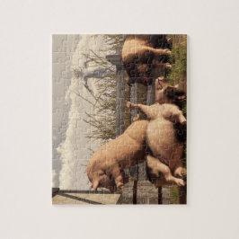 Puzzle Cerdos borrachos