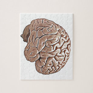 Puzzle cerebro humano