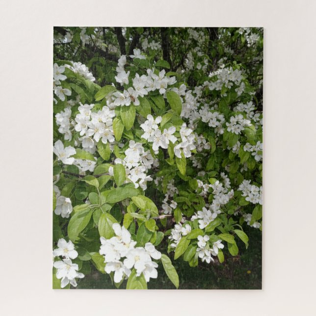Puzzle Cerezas en flor en la sombra y en la luz (Vertical)