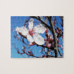 Puzzle Cerezo en flor 2