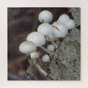 Puzzle Cerrar el rompecabezas: hongos porcelanos