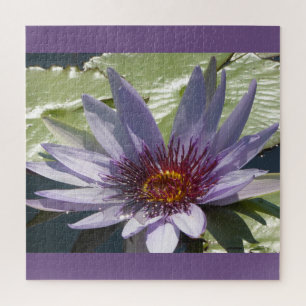 Puzzle Cerrar rompecabezas: Flor Purple Lotus