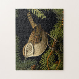 Puzzle Cerrillo de Bewick en ramas de abeto