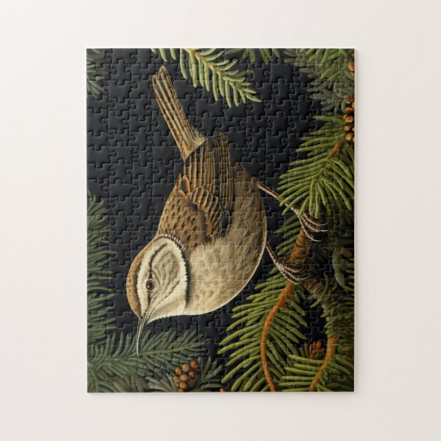Puzzle Cerrillo de Bewick en ramas de abeto (Vertical)