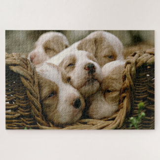 Puzzle Cesta de mimbre llena de cachorros durmiendo