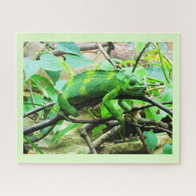 Puzzle Chameleon (Horizontal)