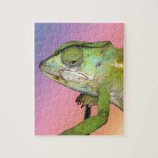 Puzzle Chameleon arcoiris (Vertical)