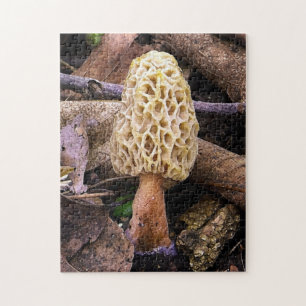 Puzzle Champiñón Morel Amarillo