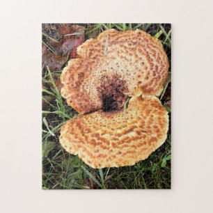 Puzzle champiñones en el bosque