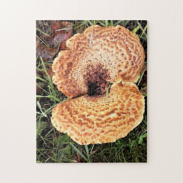 Puzzle champiñones en el bosque (Vertical)