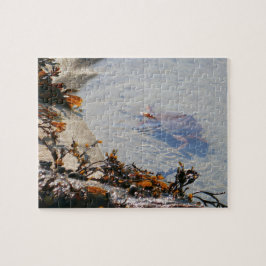 Puzzle Charca de marea en Sand Beach