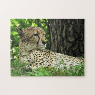 Puzzle Cheetah de primer plano