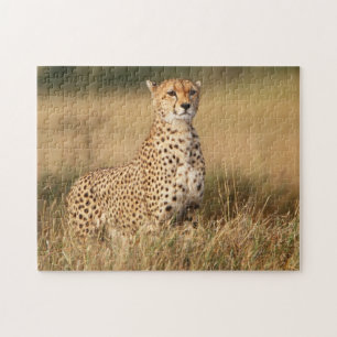 Puzzle Cheetah en pequeños montones para una mejor visibi